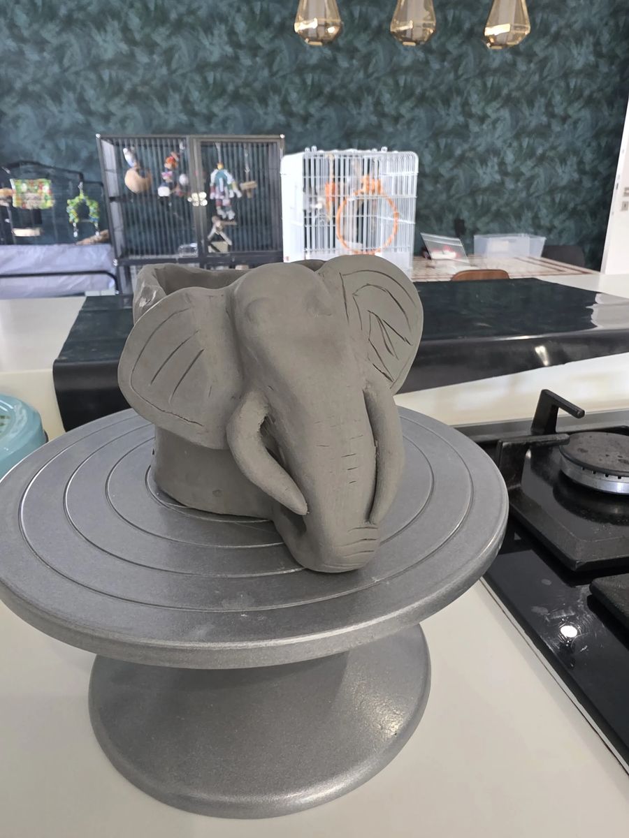 Tea with Hathi — raw clay